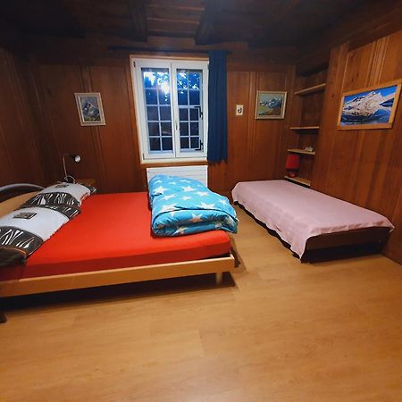 Traditional Swiss-Flat Interlaken Dış mekan fotoğraf